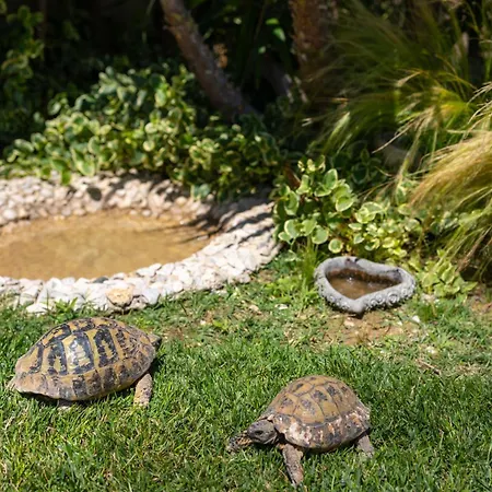 Sunny Garden Lux Daire *