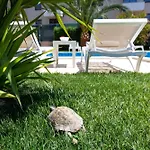 Sunny Garden Lux 스플리트