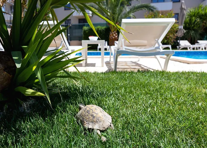 Sunny Garden Lux Сплит