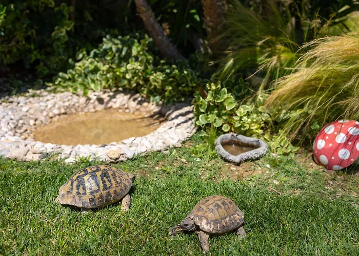 Sunny Garden Lux Apartament *