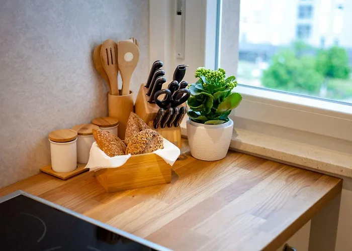 Sunny Garden Lux 公寓 *